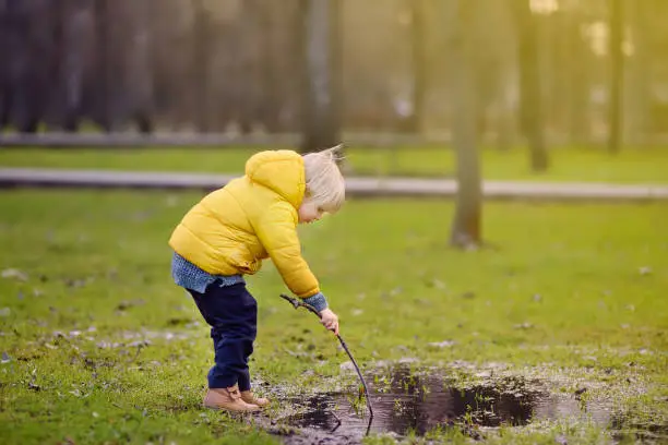 Little boy playing with puddle and stick during stroll in the park at spring, summer or autumn day. Active family time on nature. Hiking with little kids