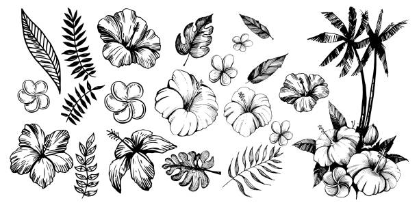 Tropical flowers and palm trees. Outline. Vector set Tropical flowers and palm trees. Outline. Vector set tattoo drawings stock illustrations