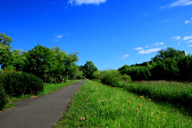 istock Sapporo promenade scenery of spring 988955674