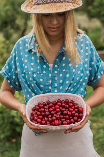 istock Picking cherries in the garden 988974860