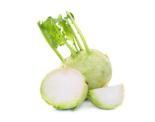 fresh kohlrabi isolated on white background - kohlrabi turnip cultivated vegetable imagens e fotografias de stock