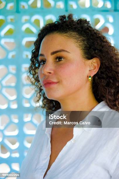 Young Beautiful And Happy Latin Afro Mixed Woman On Her 30s Smiling Cheerful And Posing Fresh Outdoors Isolated On Beautiful Background In Happiness And Success Concept Stock Photo - Download Image Now