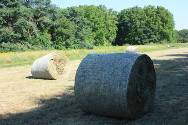 istock Haystack Harvest Crop in the Paris region 989027338