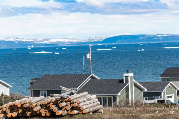 istock Green Island Cove 989054008