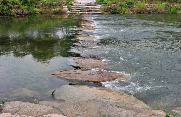 비 후에 돌을 스테핑 - stepping stone stone stepping footpath 뉴스 사진 이미지