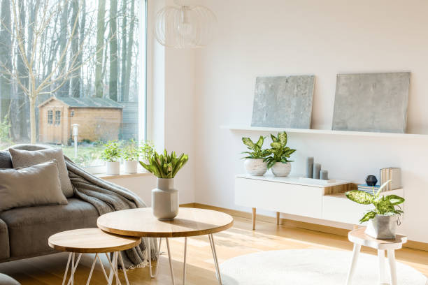 istock Plants in living room interior 989111144