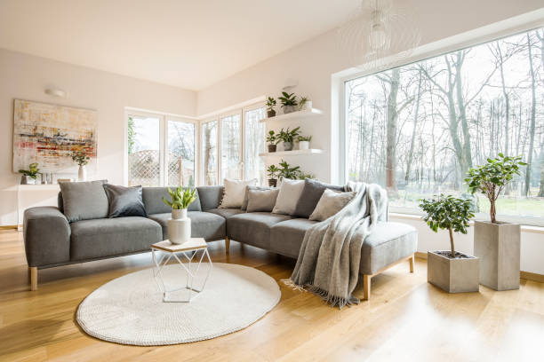 istock Blankets and cushions on corner grey sofa standing in white living room interior with fresh plants, big window and abstract painting 989111164