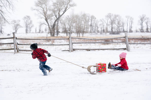 少年は、tobaggon で雪の上で彼の幼児姉妹を引っ張る - tobaggon ストックフォトと画像