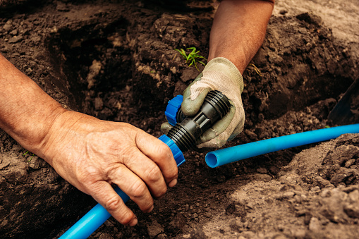 Worker connects a water hose laid in the ground for watering the garden