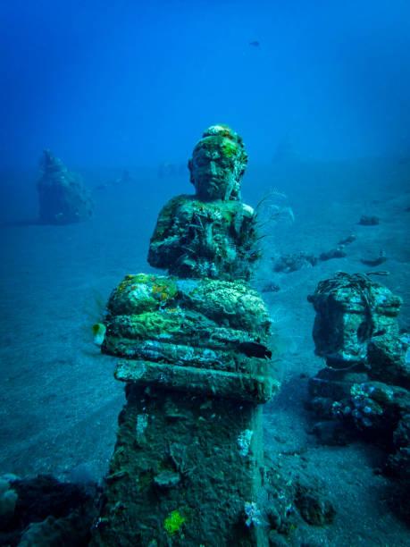 statues balinaises, création d’un récif de corail artificiel - stone statue animal imitation asia photos et images de collection