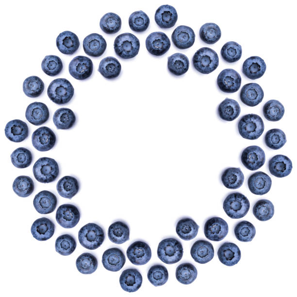 Round frame of blueberries on white background
