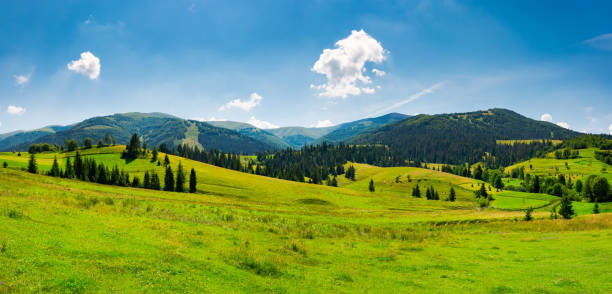 istock panorama of mountainous landscape in summer 989199134