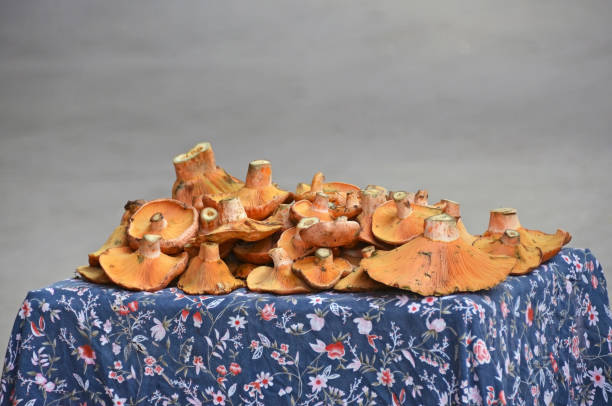 istock Anatolian mushroom in street bazaar 989245402