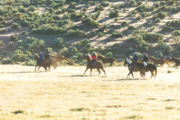 istock Utah Saddle Bronc Herd Roundup Bareback Riding Western Outdoors and Rodeo Stampede Riding Horses Herding Livestock 989245410