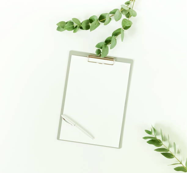 istock Mockup with clipboard, eucalyptus branhes on white background. Flat lay, top view. copy space 989251754