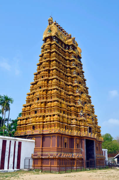 nallur kandaswamy temple à jaffna - gopuram architecture and buildings temple sri lanka photos et images de collection