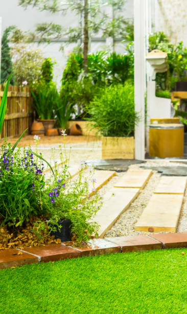 istock Wood pathway in garden. 989260012