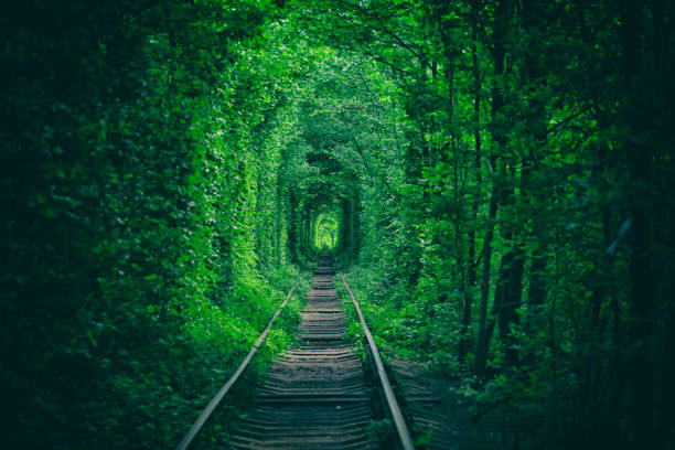 istock unnel of Love 989261108
