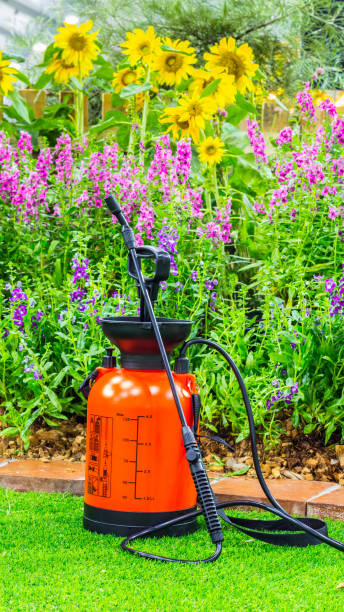istock Crop Sprayer in cozy garden. 989296896