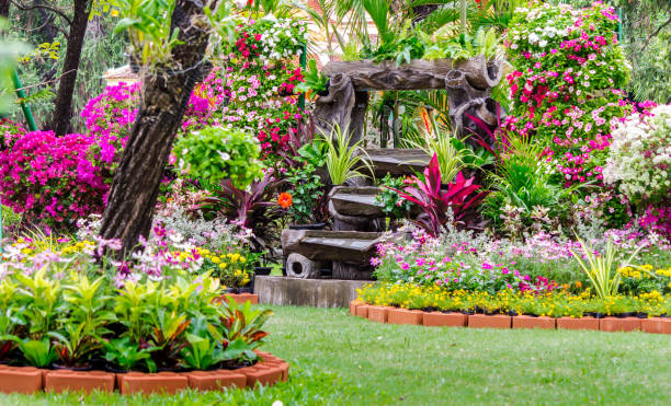 istock Cozy home garden on summer. 989311838
