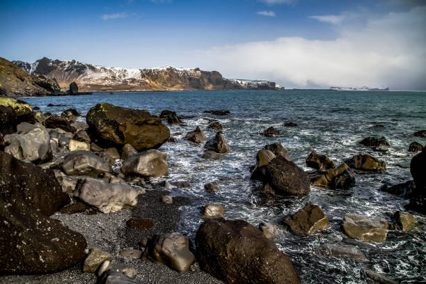 istock Black sand Reynisfjara Beach near Vik in Iceland. 989321574