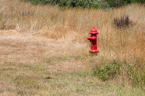Fire Hydrant in grassy field.