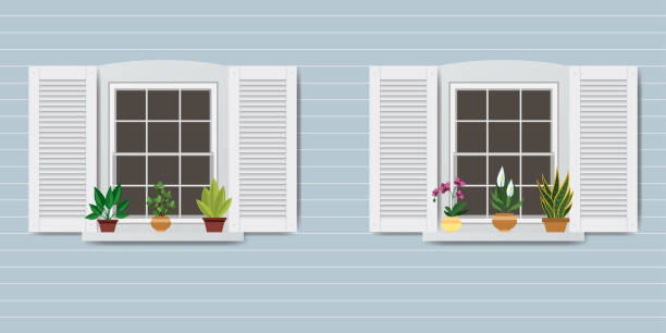 окна и горшки с цветами - comfortable classic uk italy stock illustrations