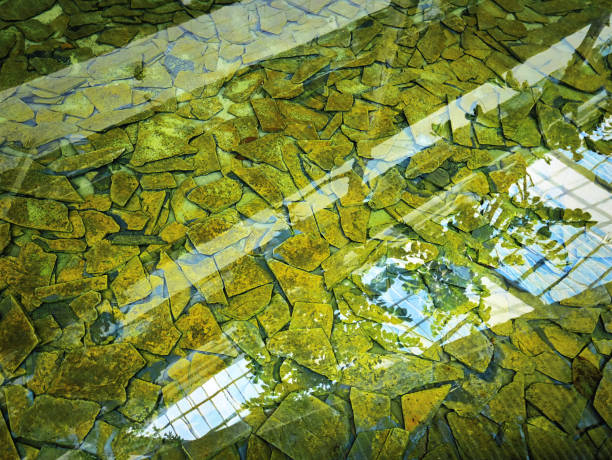 istock Decorative Stone Plates in the Pond with Water Reflection 989363342