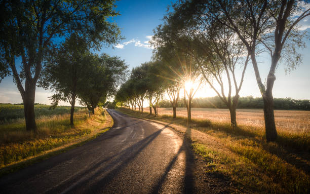 istock Country road on sunset time 989391008