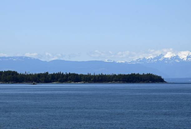 istock Blubber Bay coastline Texada Island BC 989404054