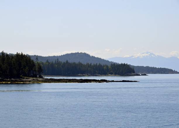 istock Blubber Bay coastline Texada Island BC 989404130