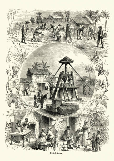 Scenes from cotton plantation in United States, 19th Century Vintage engraving of Scenes from cotton plantation in United States, 19th Century slave plantation stock illustrations