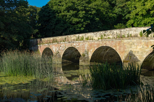 istock Blandford Forum, Dorset, England 989421422