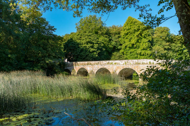 istock Blandford Forum, Dorset, England 989421432