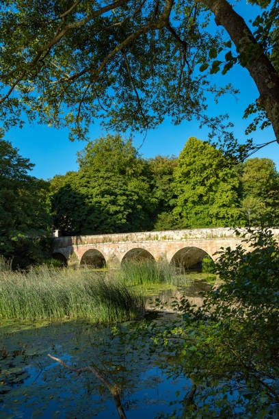 istock Blandford Forum, Dorset, England 989421434