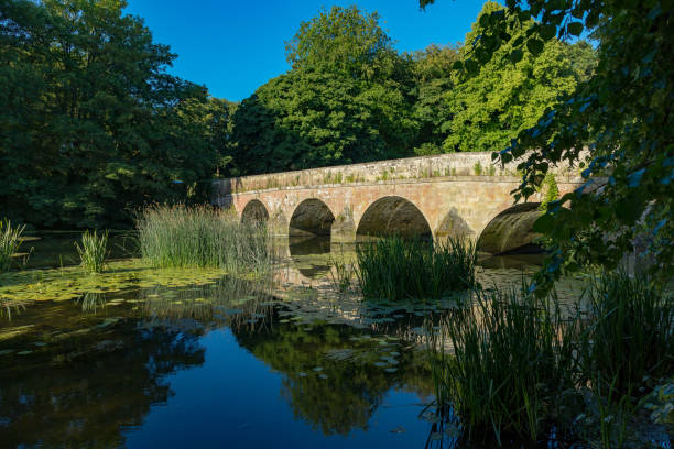 An image showing a Leicestershire village that is hidden by trees. Shot at Frisby Lakes, Leicestershire, England, UK.