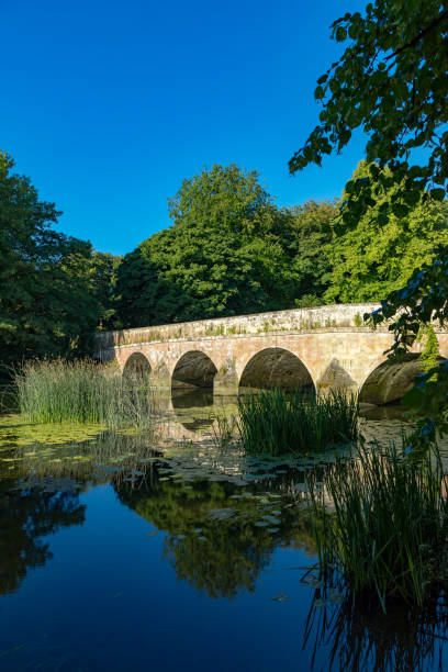 istock Blandford Forum, Dorset, England 989421454