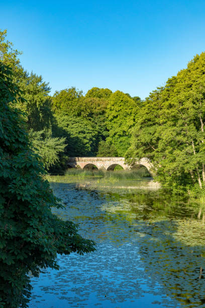 istock Blandford Forum, Dorset, England 989421470