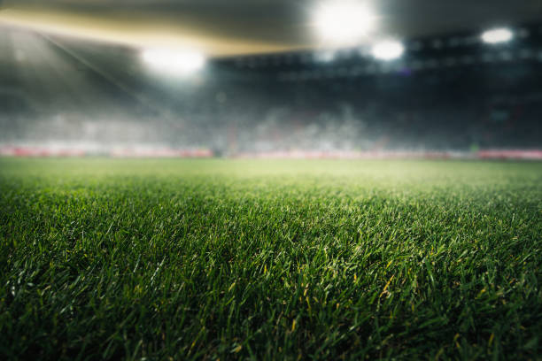 soccer field - football field imagens e fotografias de stock