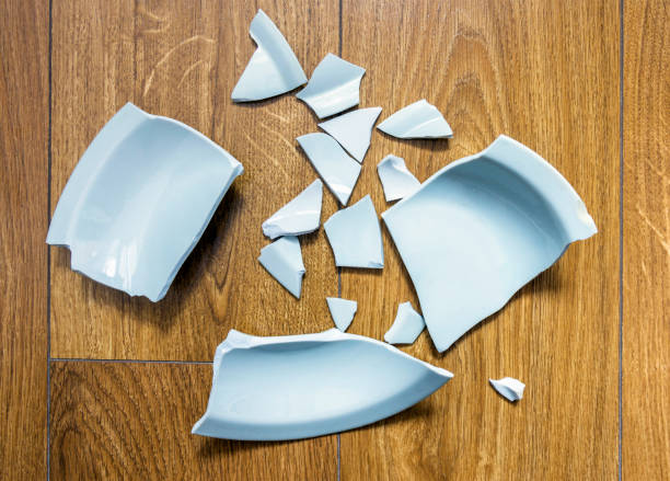 Broken dishes and plates on the kitchen floor.