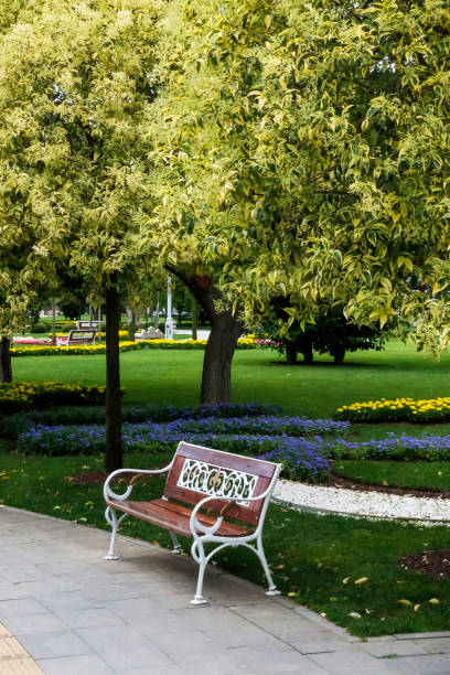 istock Flowerbed and bench in public park 989434988