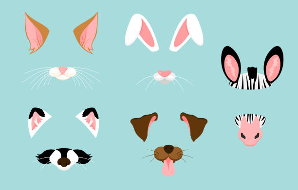 illustrations, cliparts, dessins animés et icônes de vector illustration des oreilles animales mignons et gentil et masques pour effet selfies, photos et vidéo du nez. filtres de visages drôles animaux pour téléphone portable. - animal nose