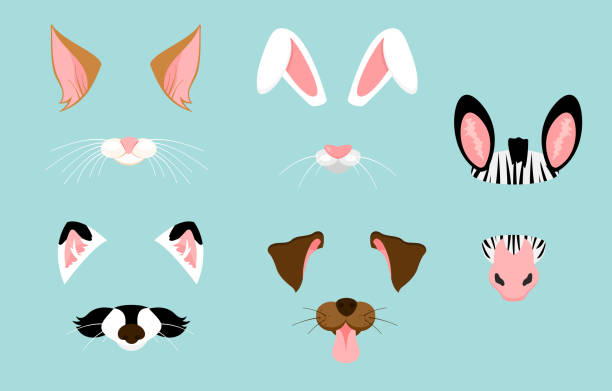 Vector illustration of cute and nice animal ears and nose masks for selfies, pictures and video effect. Funny animals faces filters for mobile phone. Vector illustration of cute and nice animal ears and nose masks for selfies, pictures and video effect. Funny animals faces filters for mobile phone rabbit animal photos stock illustrations