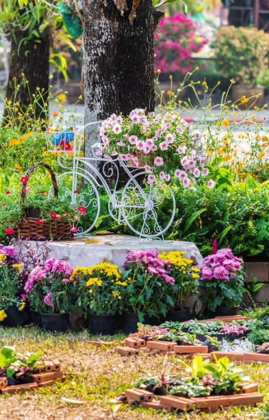istock In home cozy garden on summer. 989447596