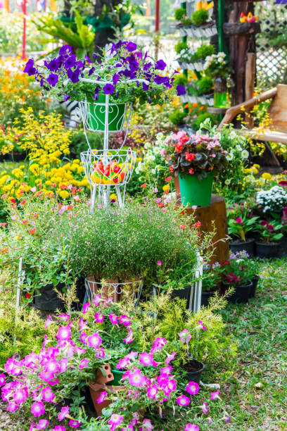 istock In home cozy garden on summer. 989447670