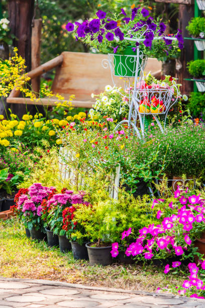 istock In home cozy garden on summer. 989451318