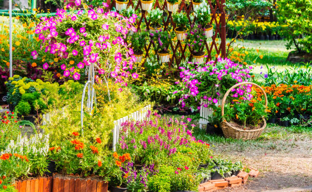 istock In home cozy garden on summer. 989451704