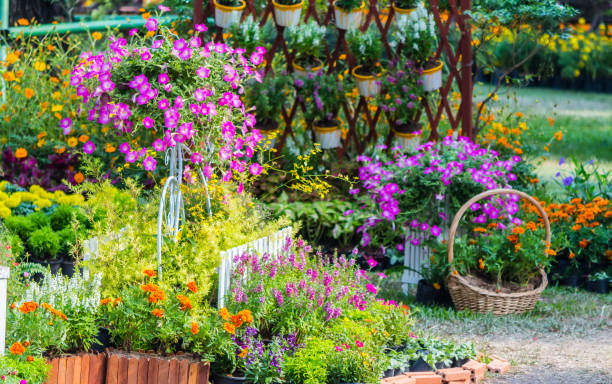 istock In home cozy garden on summer. 989452166