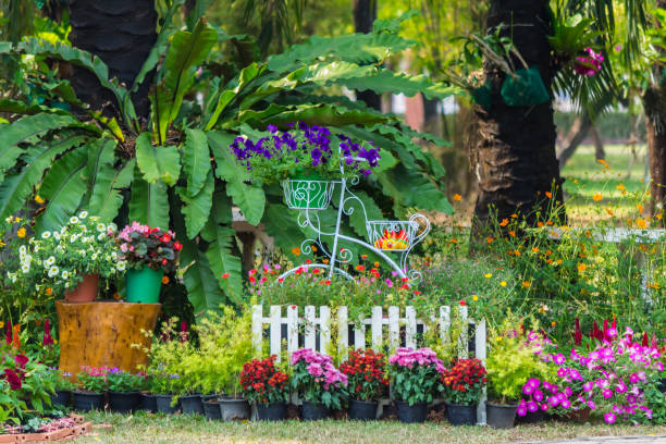istock In home cozy garden on summer. 989453068