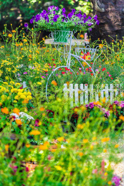 istock In home cozy garden on summer. 989453368